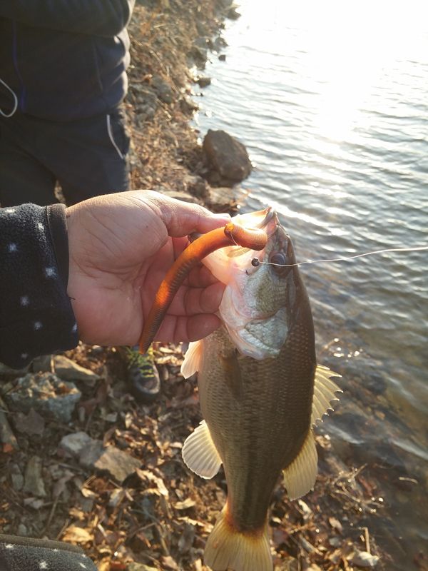 20150312_173332.jpg