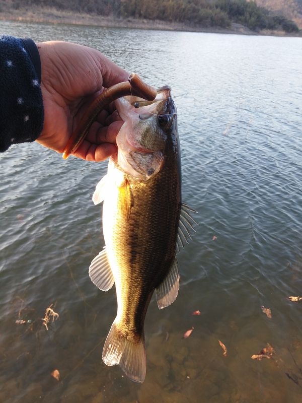 20150312_173336.jpg