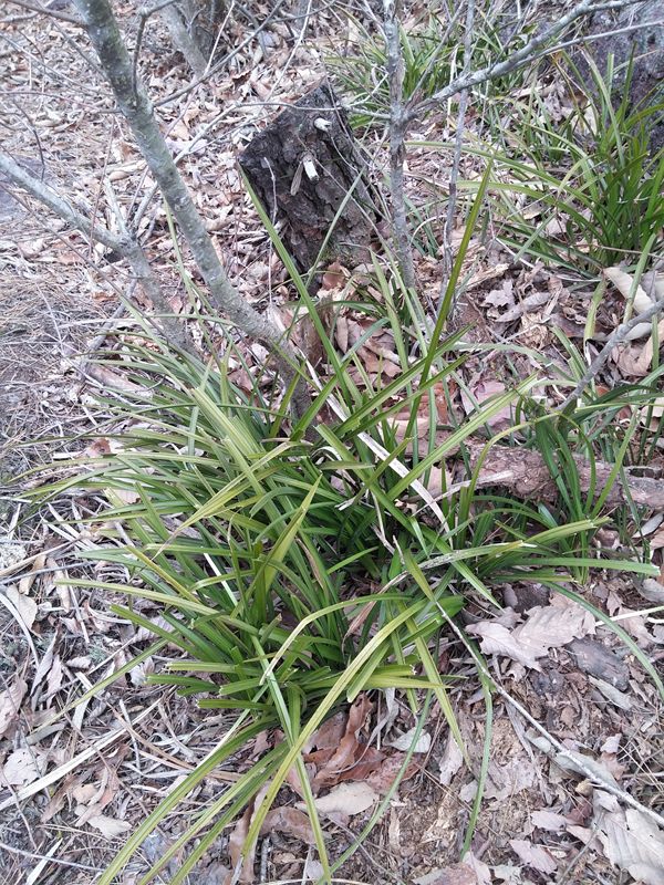 20150313_101220.jpg