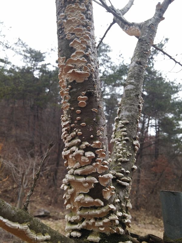 20150313_103729.jpg