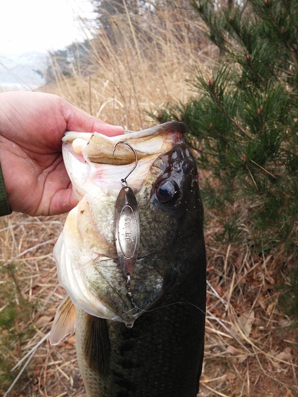 20150313_123041.jpg