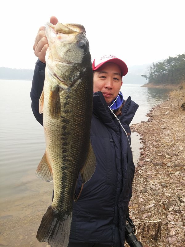 20150313_123331.jpg