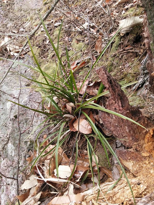 20150313_130946.jpg