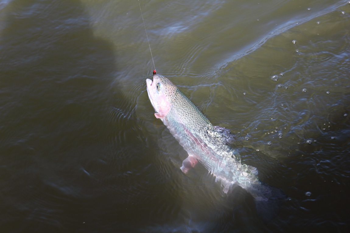 IMG_4623.JPG