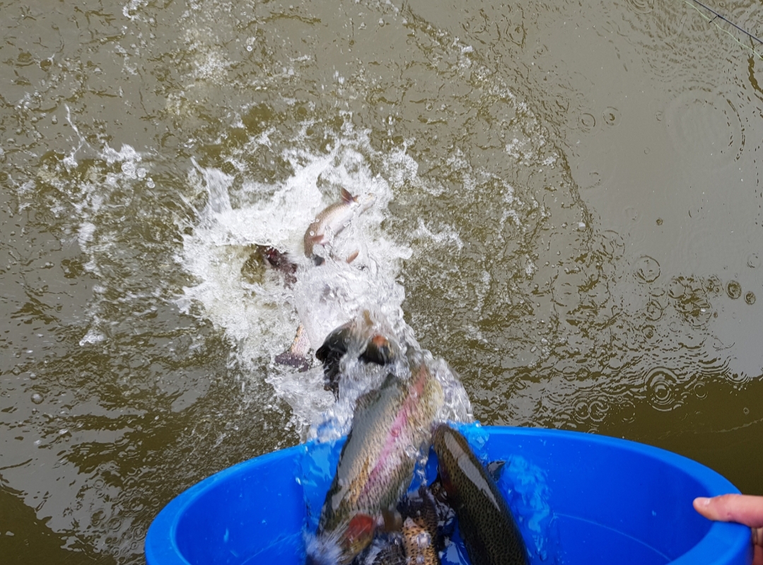 20181130_102618.jpg