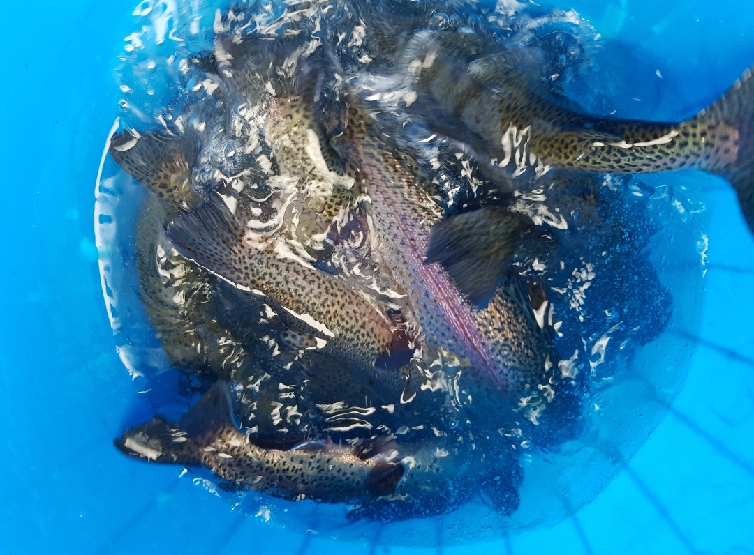 20181130_102632.jpg