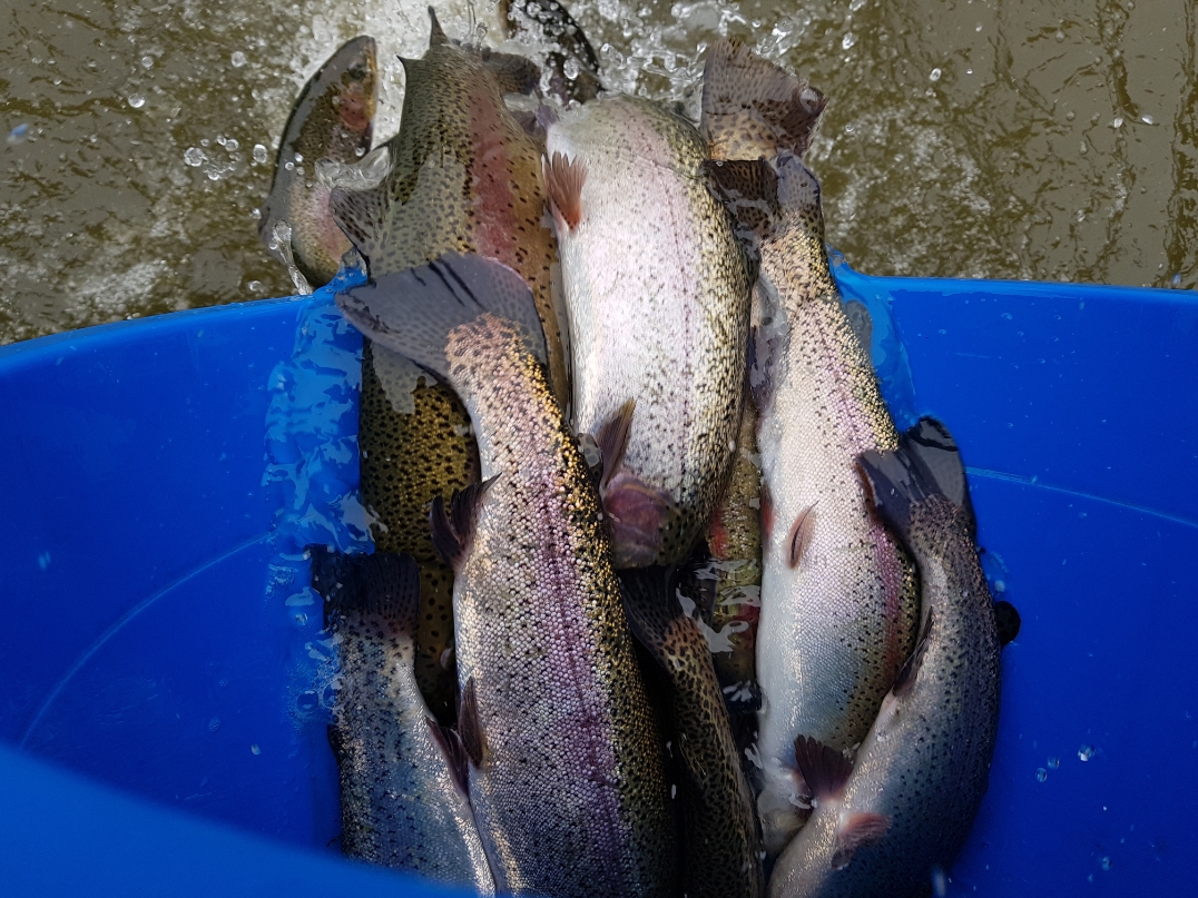 20181130_153235.jpg