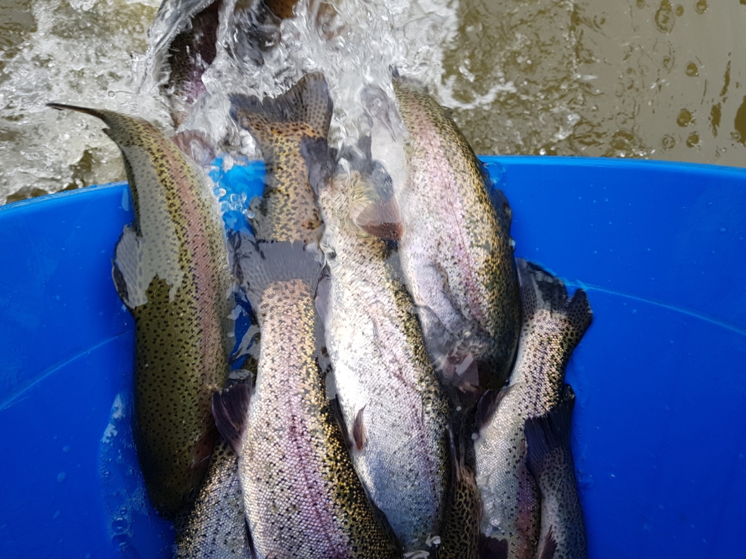 20181130_153249.jpg