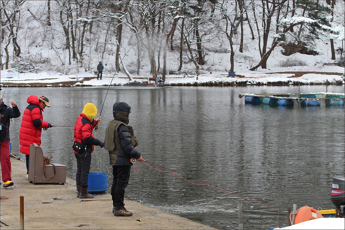 IMG_2564.JPG