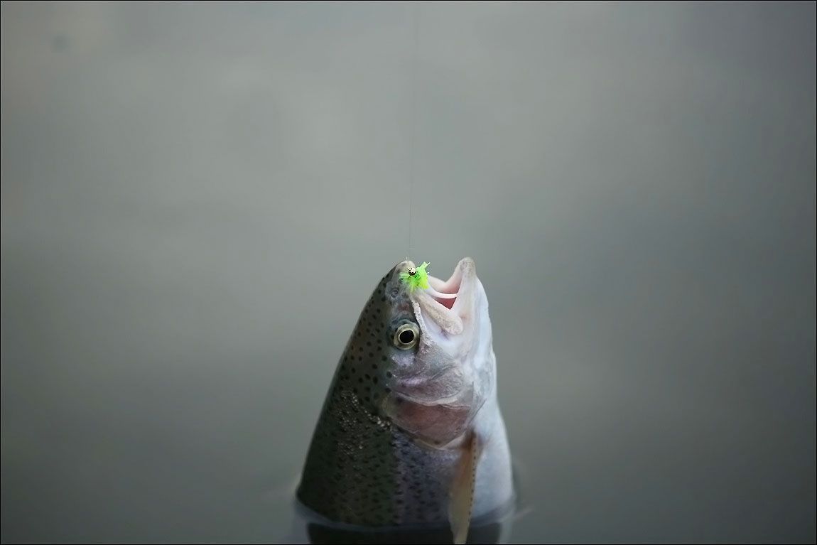 AQ8C0400.JPG