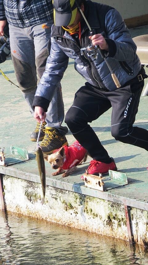 곬ð(2014.11.16) 023.jpg