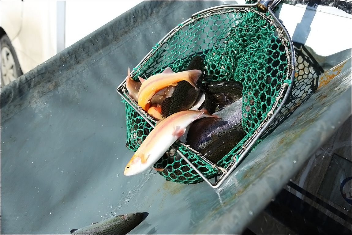 AQ8C5895.JPG