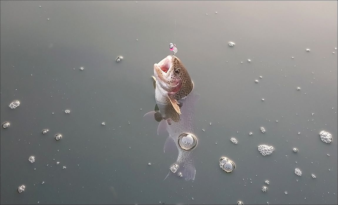 20151219_164736.jpg