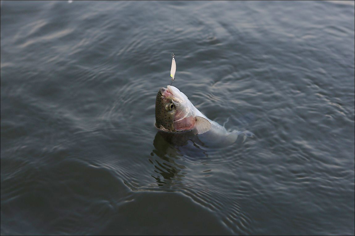 AQ8C2331.JPG