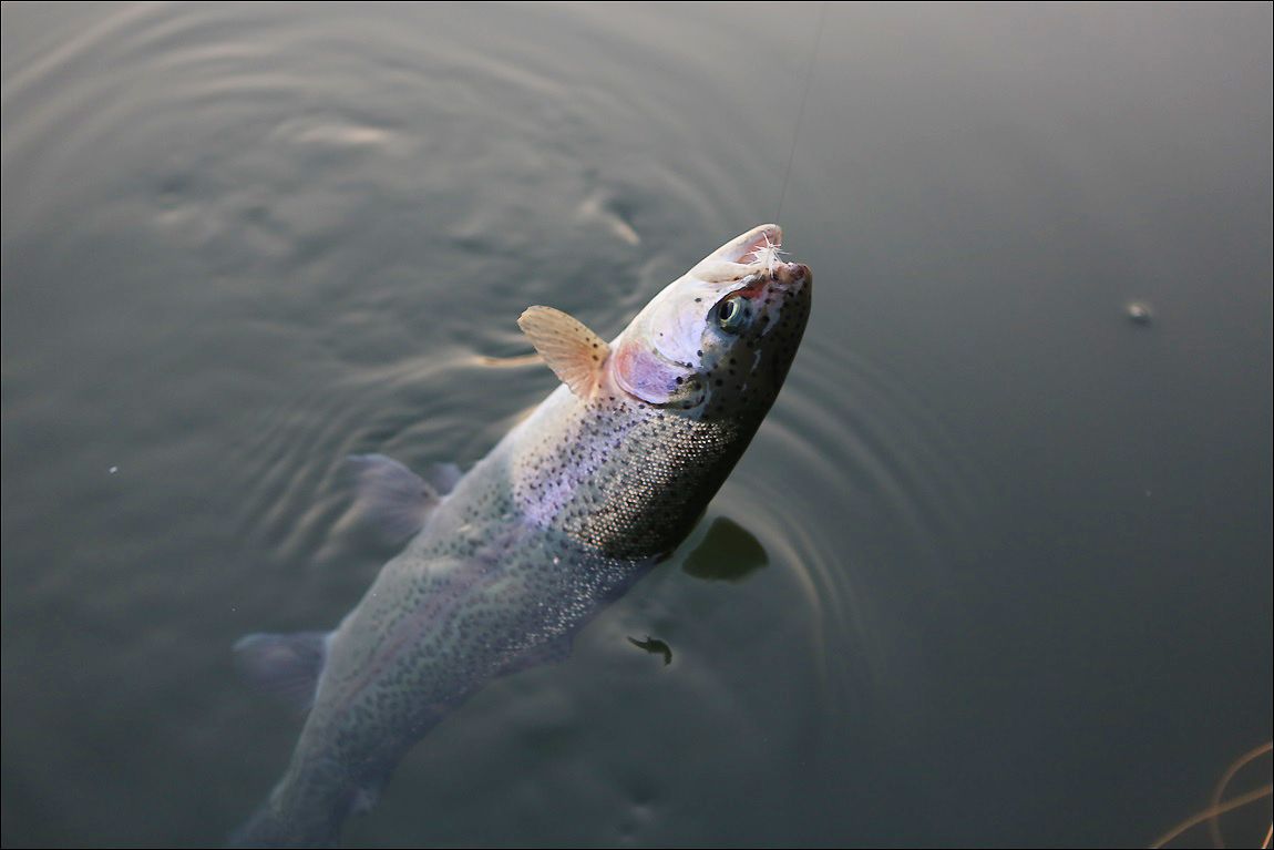 AQ8C9899.JPG