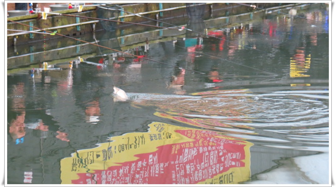 1 055.JPG