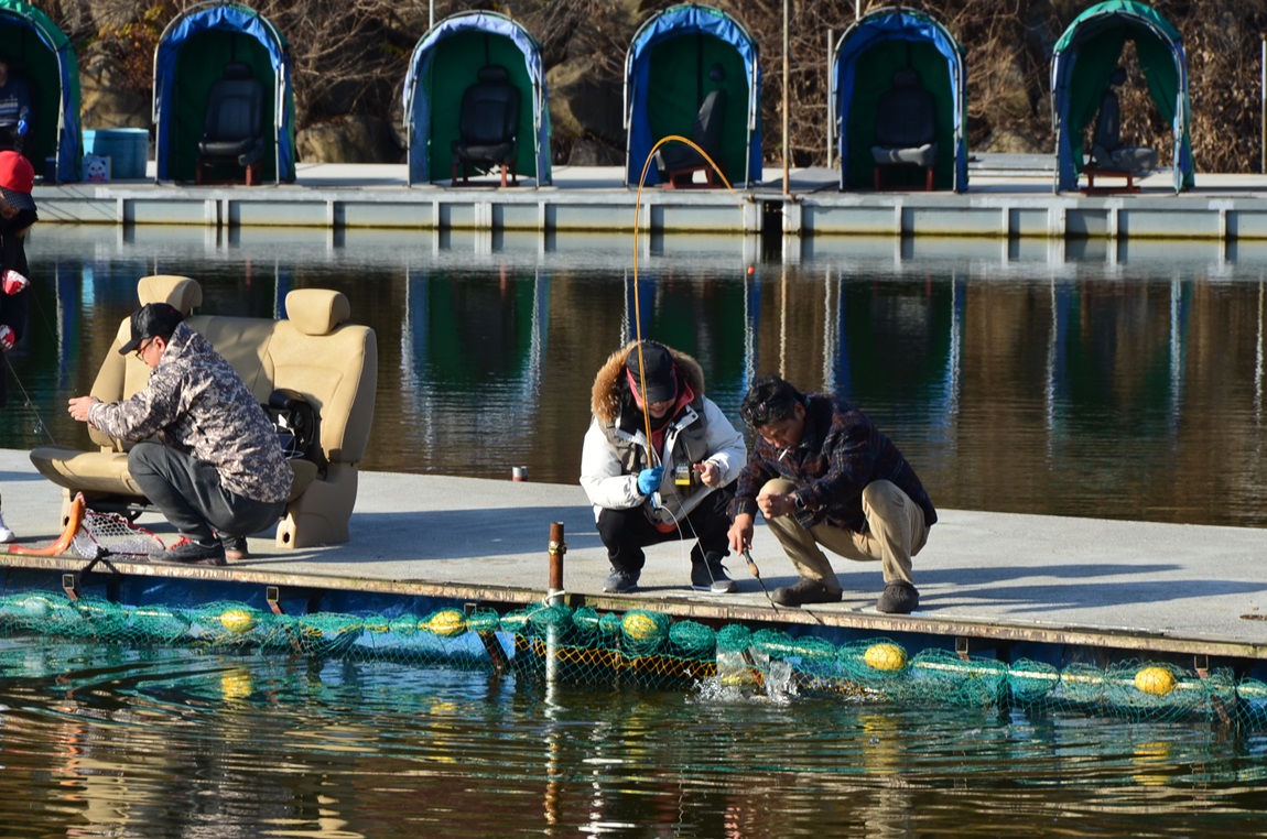 DSC_2488.JPG