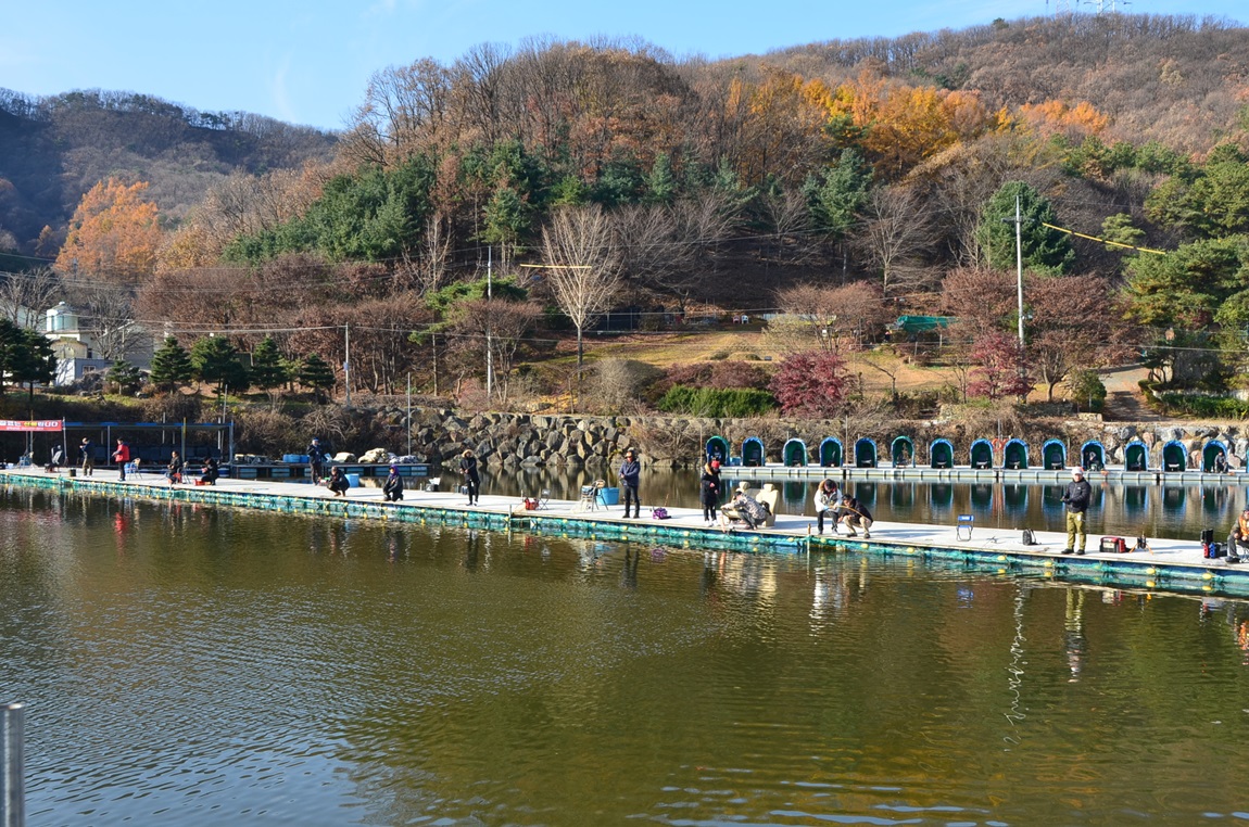 DSC_2491.JPG