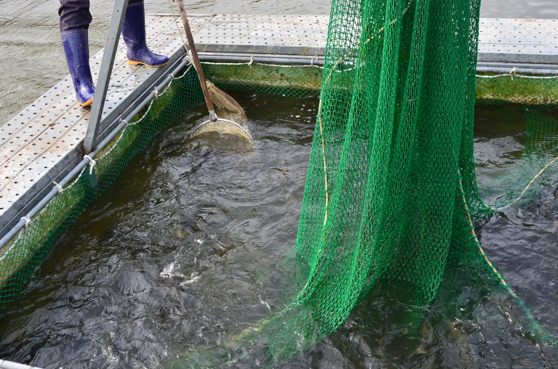 DSC_2635.JPG