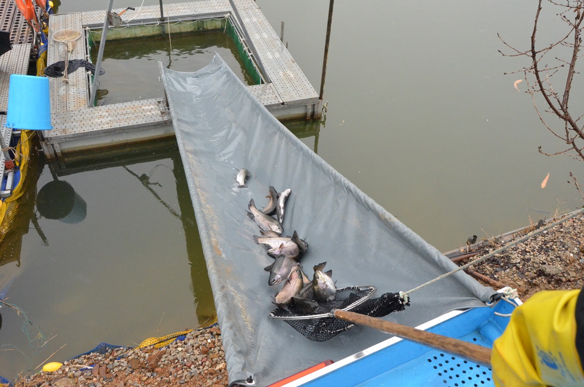 DSC_5541.JPG