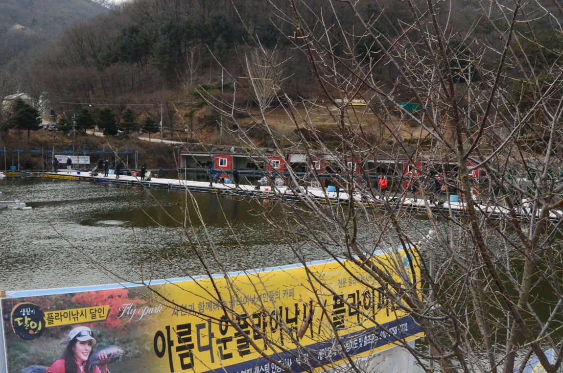 DSC_8240.JPG