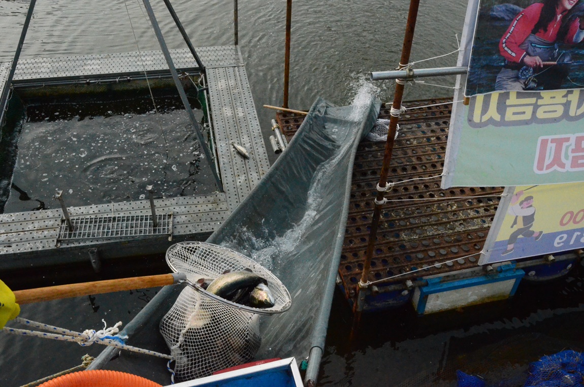 DSC_8251.JPG