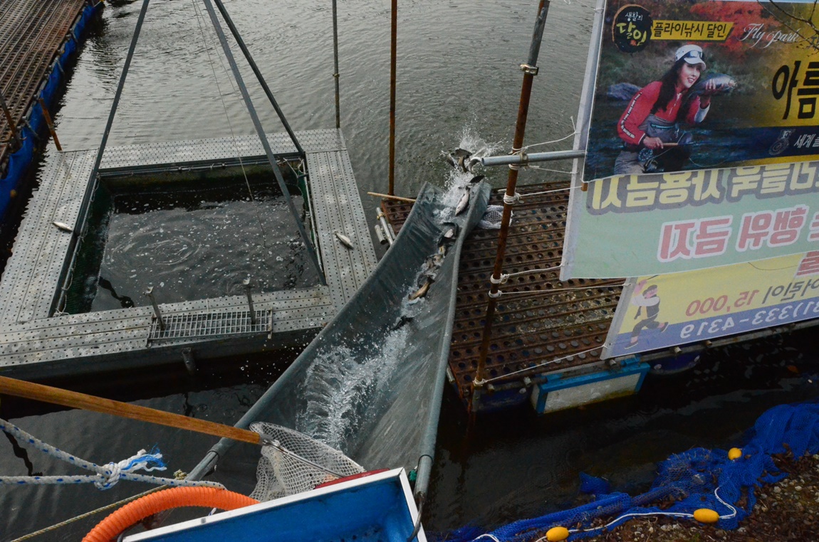 DSC_8256.JPG