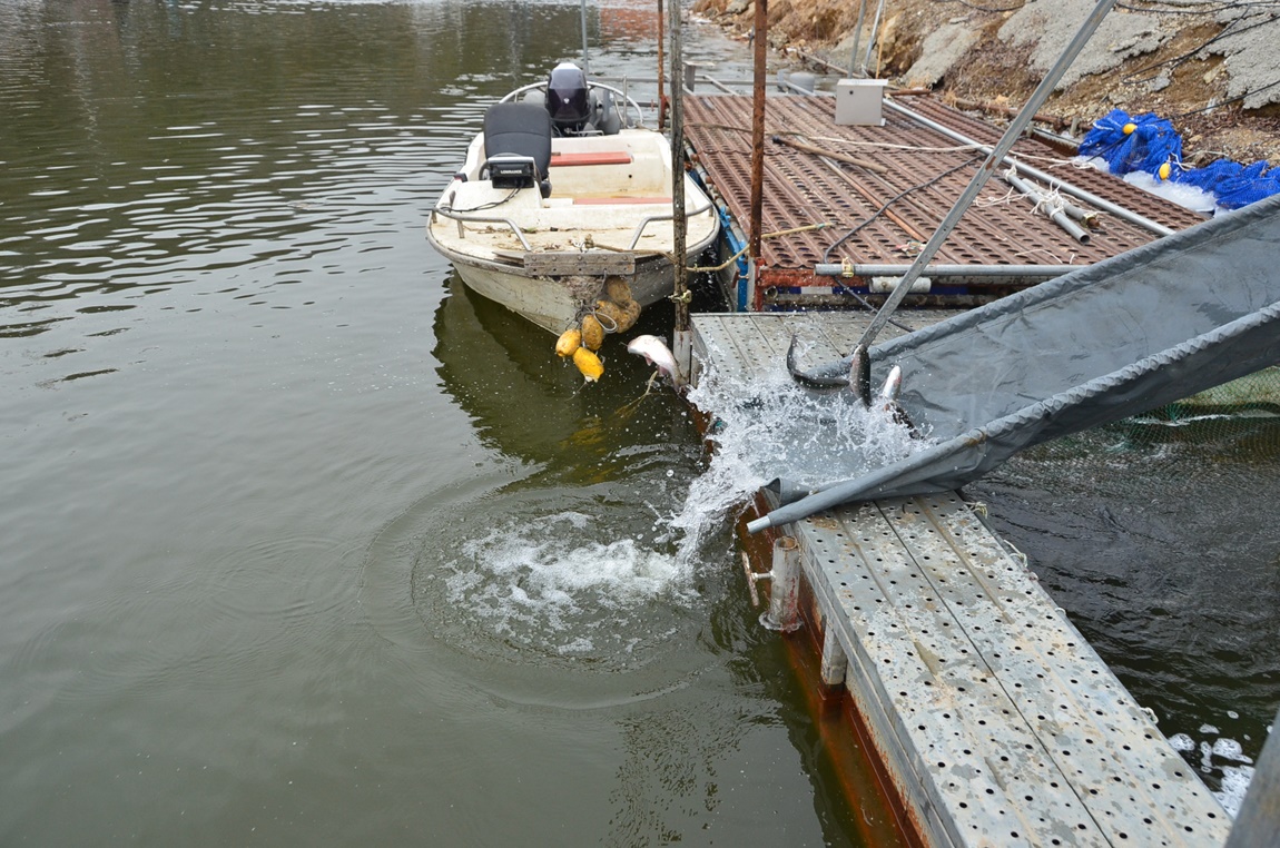 DSC_8724.JPG