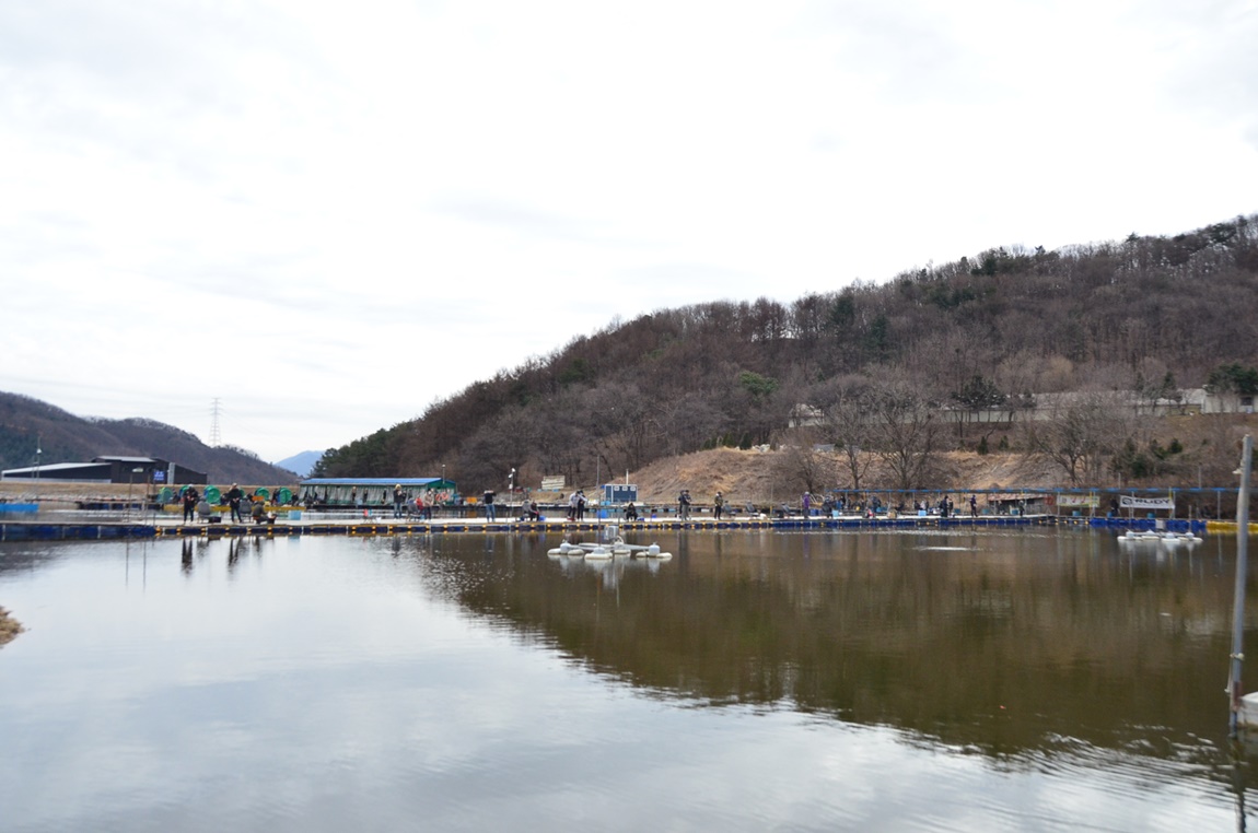 DSC_9060.JPG