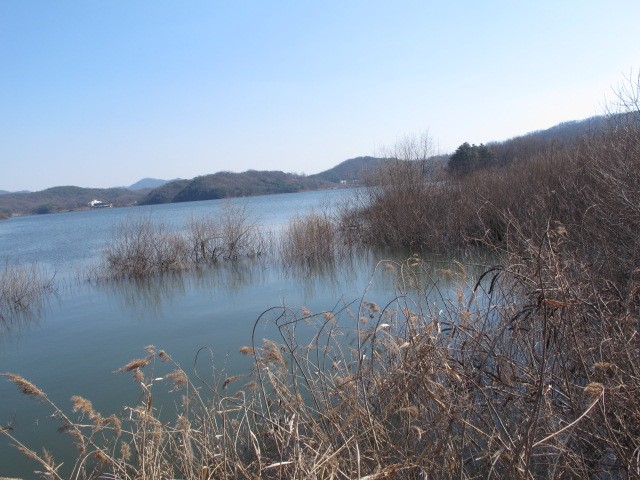 IMG_0028.JPG