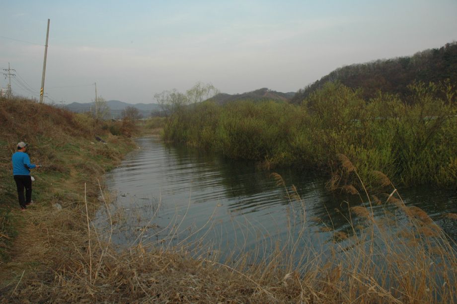 DSC_3619.JPG