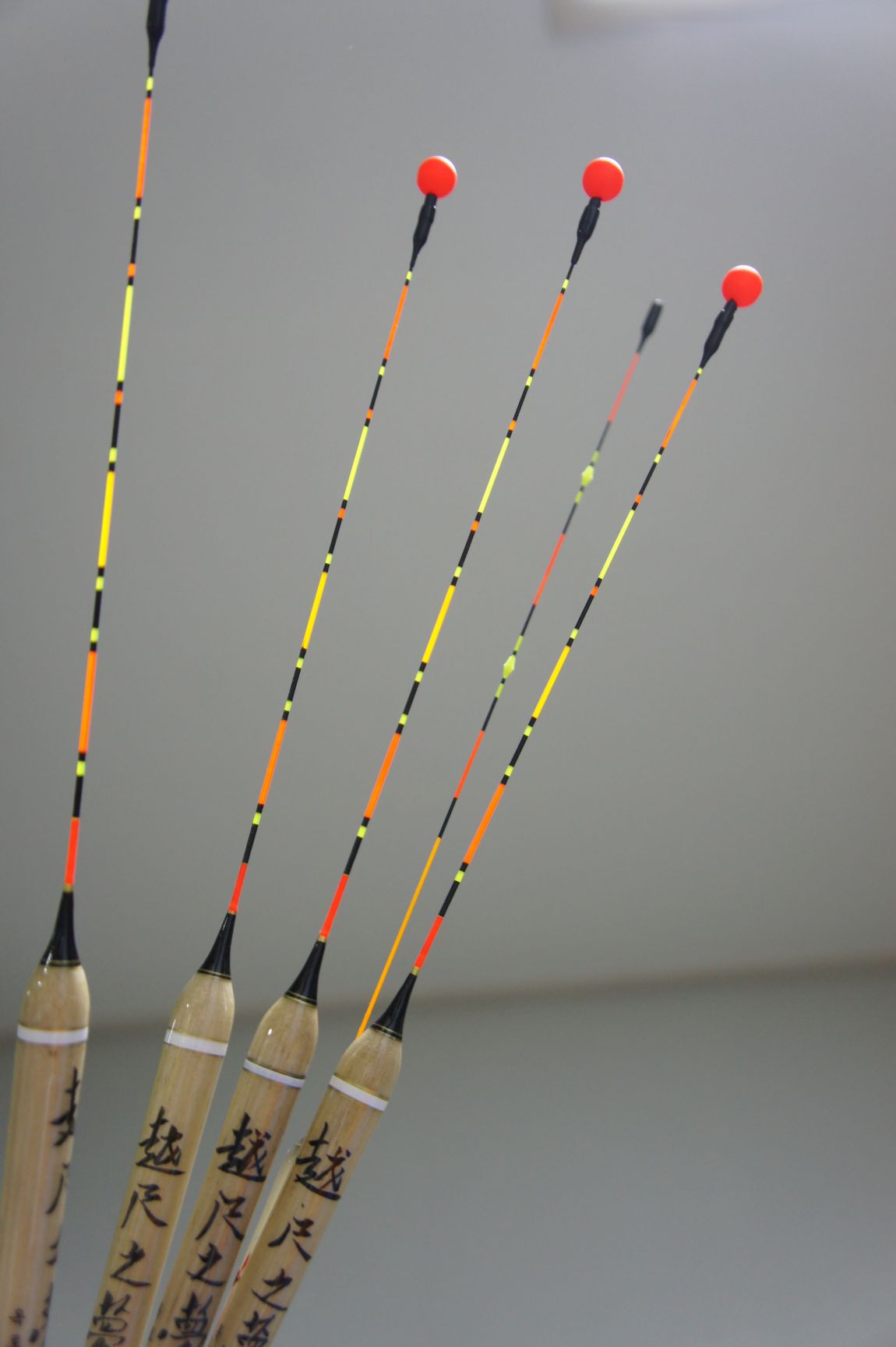 DSC01425.JPG