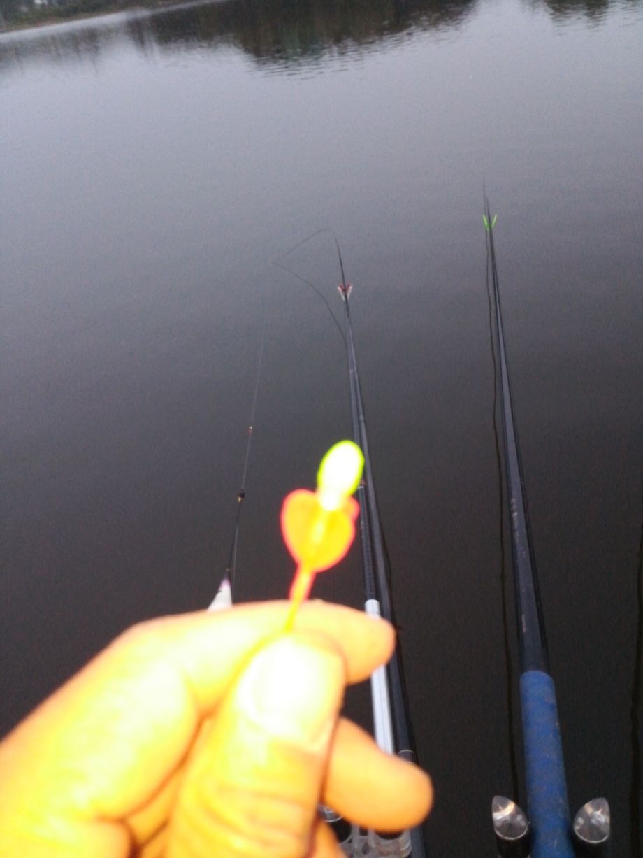 ���� 526.jpg