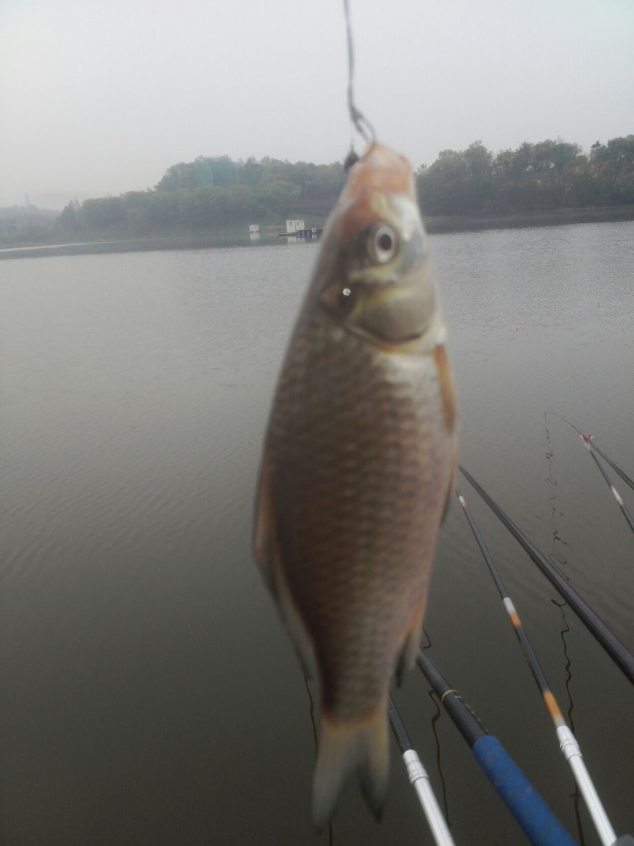 ���� 001.jpg