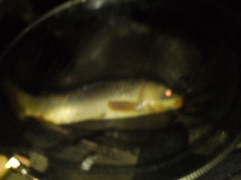 ���� 541.jpg