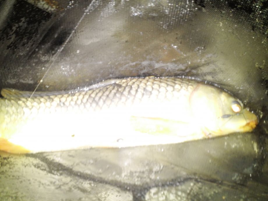 ���� 542.jpg