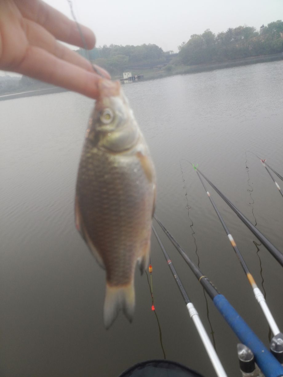 ���� 548.jpg