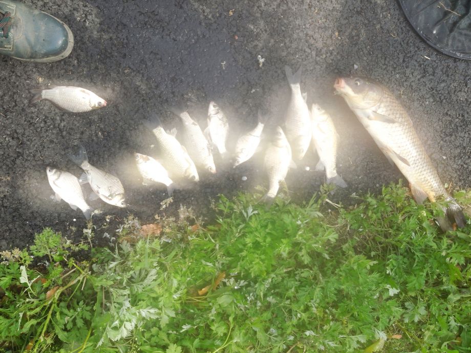 ���� 551.jpg