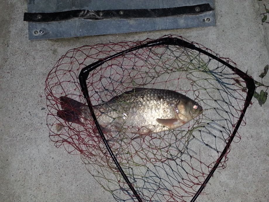 20140505_201256.jpg