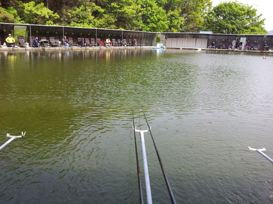 20140504_152657.jpg