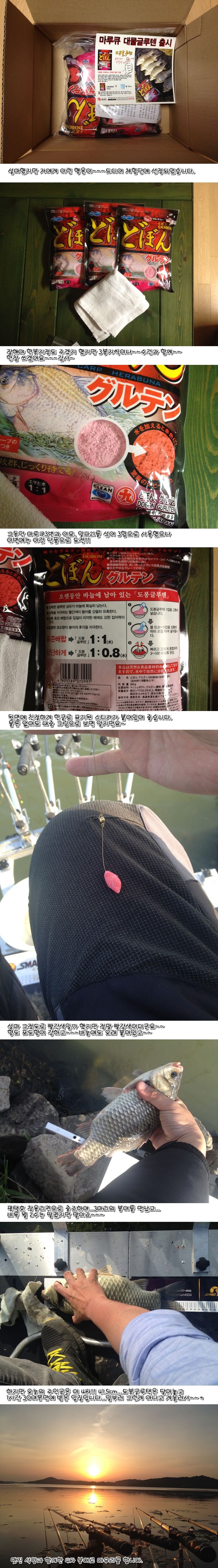 dobong0509PT.jpg