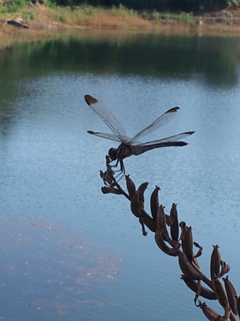 20140920_155902.jpg