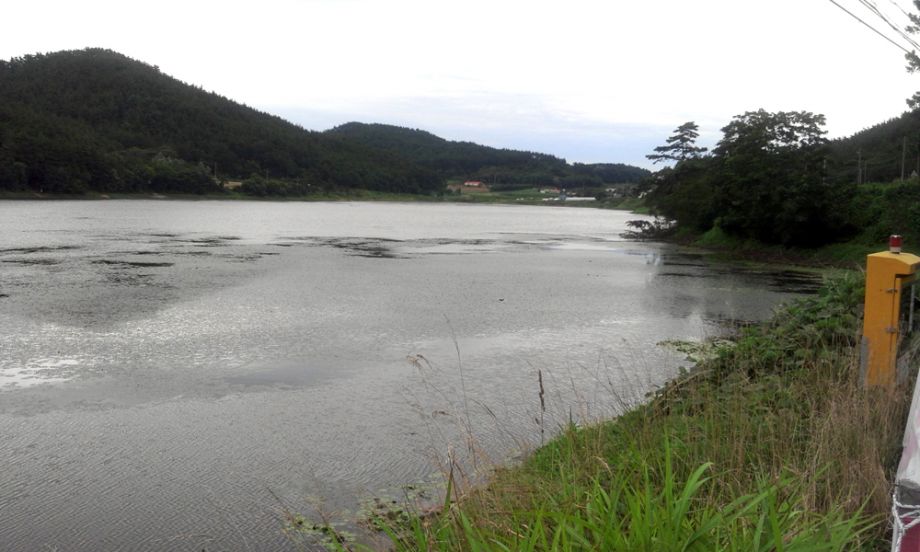 2014-08-02 16.30.19.jpg