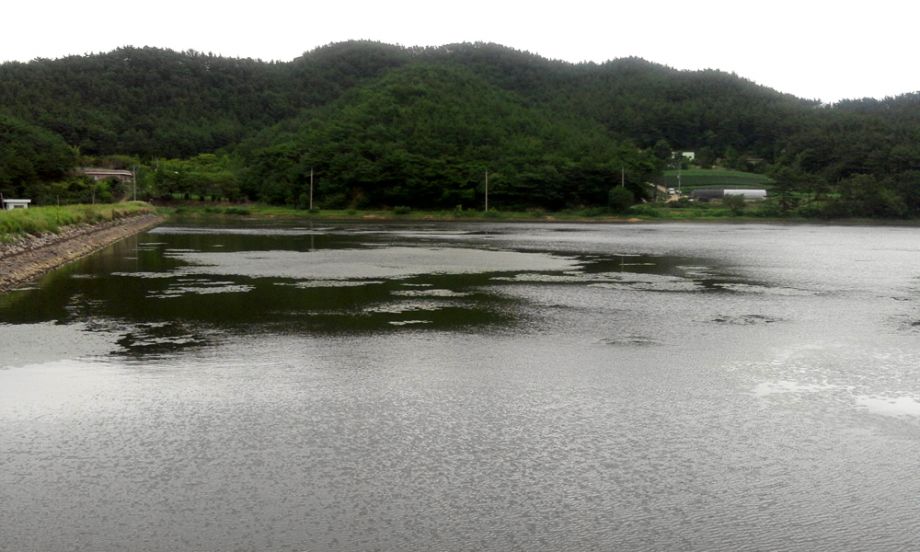 2014-08-02 16.30.28.jpg