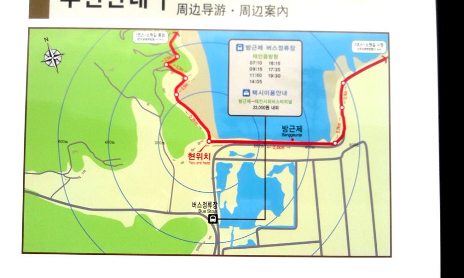 2014-08-02 16.41.53.jpg