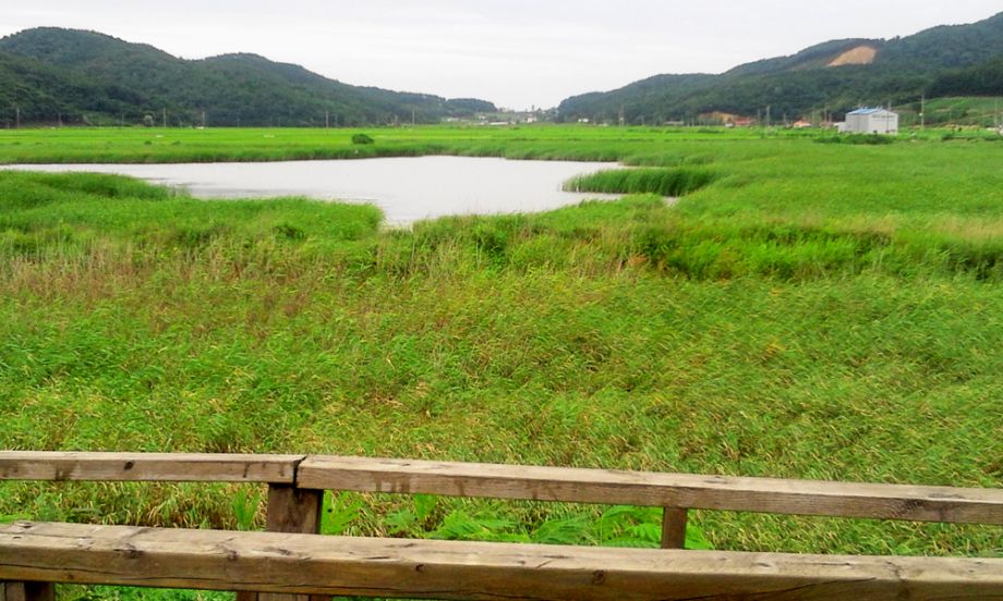 2014-08-02 16.50.16.jpg