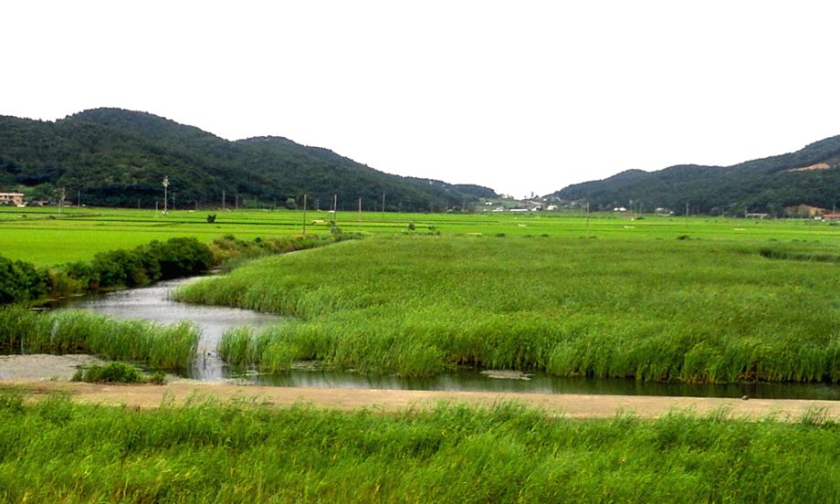 2014-08-02 16.53.12.jpg