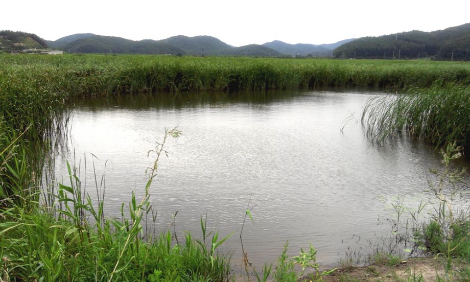 2014-08-02 16.35.32.jpg