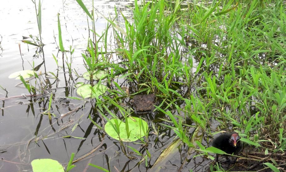 2014-08-02 16.35.56.jpg