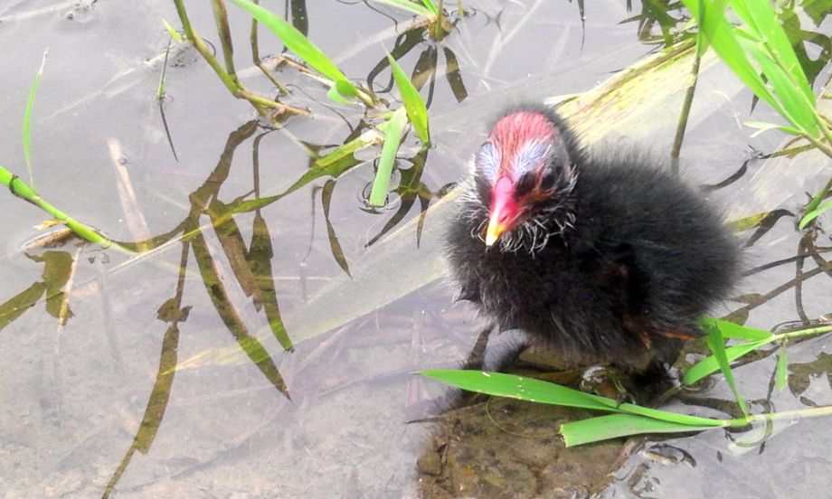 2014-08-02 16.36.37.jpg